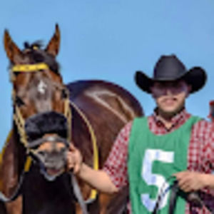 Meet your Posher, Alejandro